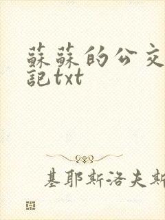 苏苏的公交车日记txt