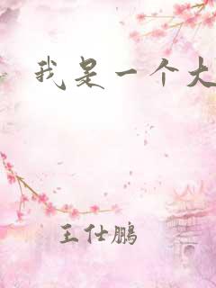 我是一个大盗贼