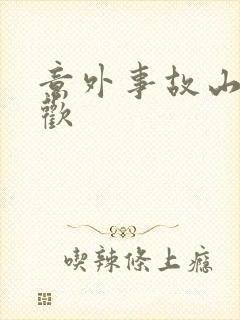 意外事故山月辞欢