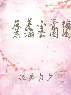 反差小青梅不经叶涵季园园