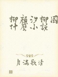 柳颜汐柳国安是什么小说