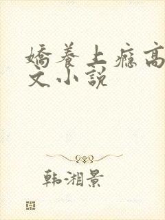 娇养上瘾高H爽文小说