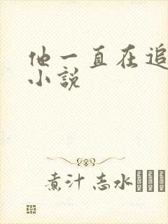 他一直在追初恋小说