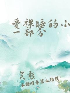 爱裸睡的小丹第一部分