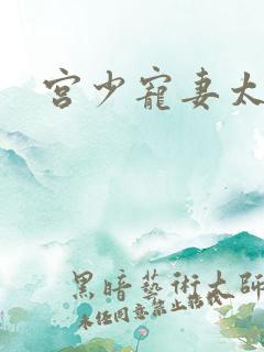 宫少宠妻太凶猛