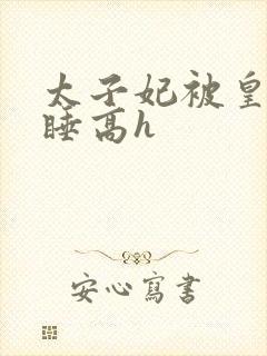 太子妃被皇上强睡高h