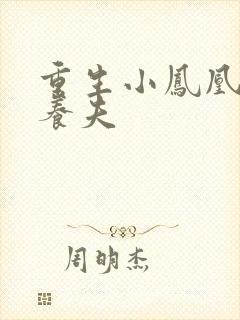 重生小凤凰的童养夫