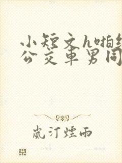 小短文h啪纯肉公交车男同