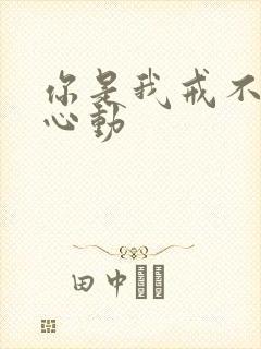 你是我戒不掉的心动