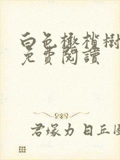 白色橄榄树全文免费阅读