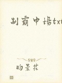 制霸中场txt