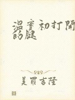 温实初打开眉庄的腿