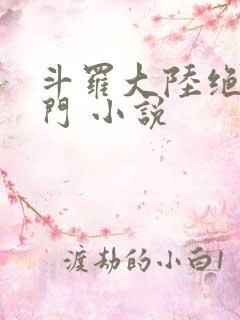 斗罗大陆绝世唐门 小说