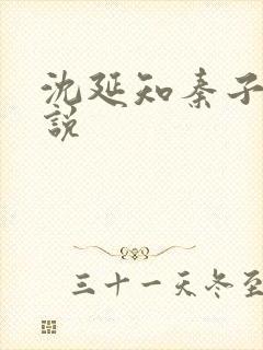 沈延知秦子卿小说