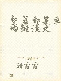 整篇都是车的多肉糙汉文