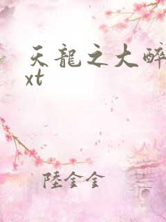 天龙之大醉侠txt