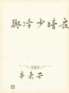 与冷少暗夜孽爱