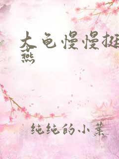 大龟慢慢挺进张燕