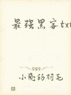 最强黑客txt