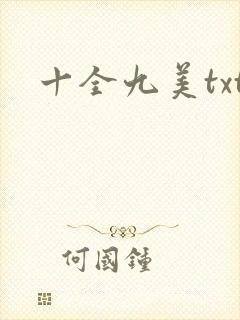 十全九美txt