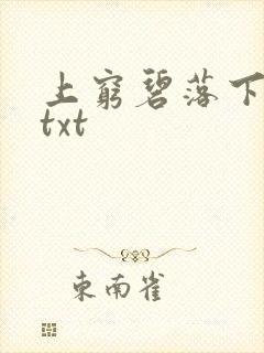 上穷碧落下黄泉txt