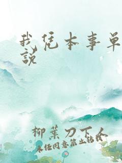 我凭本事单身小说