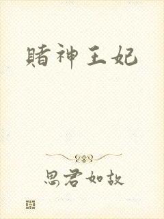 赌神王妃