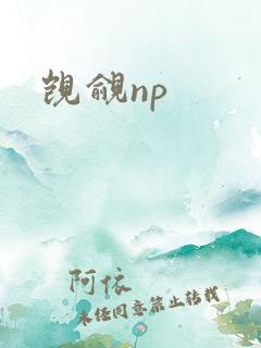 觊觎np