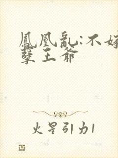 凤凰乱:不嫁妖孽王爷