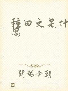 种田文是什么意思