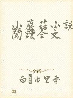 小蘑菇小说免费阅读全文