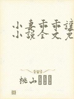 小妻乖乖让我宠小说全文免费阅读