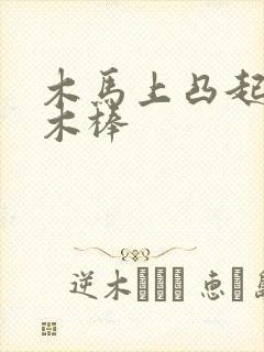 木马上凸起电动木棒