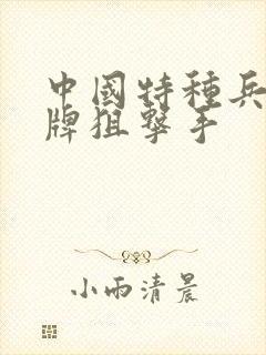 中国特种兵之王牌狙击手