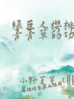 绿巨人樱桃荔枝青青草的功效