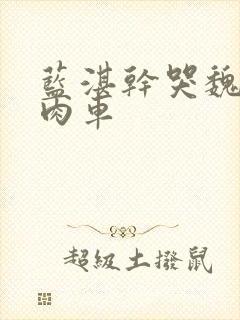 蓝湛干哭魏无羡肉车