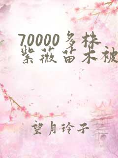 70000多株紫薇苗木被强毁