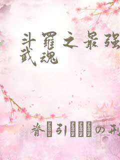 斗罗之最强治疗武魂