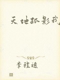 天地孤影我独行
