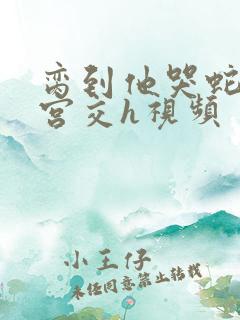 脔到他哭蛇双根宫交h视频