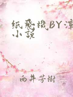 纸飞机BY潭石小说