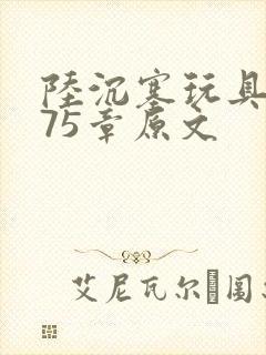 陆沉塞玩具高速75章原文