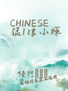 CHINESE猛1浪小辉