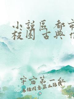 小说区 都市 校园 古典 偷拍