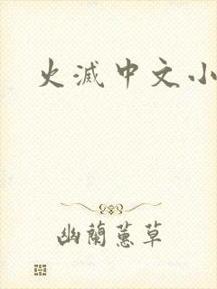 火灭中文小说