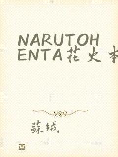 NARUTOHENTA花火本子