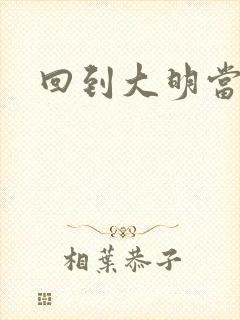 回到大明当才子