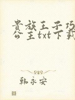 贵族王子巧遇穷公主txt下载