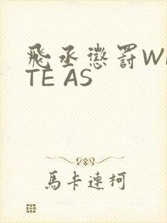 飞丞惩罚WRITE AS