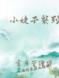 小婕子系列小说